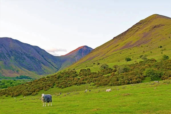 瓦斯代尔头 Wasdale Head 是英格兰坎布里亚湖区国家公园的一个分散的农业村 Wasdale Head自称是英格兰最高的山 最深的湖 最小的教堂和最大的骗子的故乡 — 图库照片