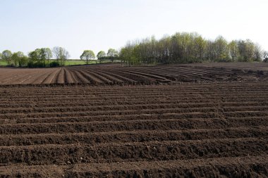 Doncaster, Güney Yorkshire, İngiltere 'de yeni sürülmüş bir tarlanın eşsiz hatlarını ve yivlerini yakalıyorum..