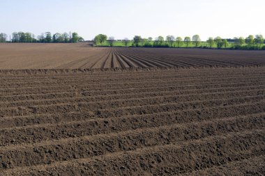 Doncaster, Güney Yorkshire, İngiltere 'de yeni sürülmüş bir tarlanın eşsiz hatlarını ve yivlerini yakalıyorum..