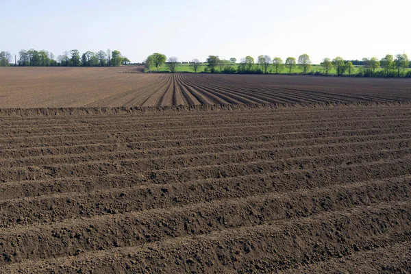 Het Vastleggen Van Unieke Contouren Groeven Van Een Recent Diep — Stockfoto