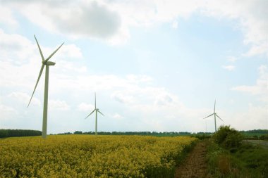 Marr, Doncaster, Güney Yorkshire, İngiltere 'de tecavüz tohumlu petrol santrallerinin ve rüzgar türbinlerinden elde edilen temiz elektriğin birleşik çevre dostu kaynaklarının ele geçirilmesi.