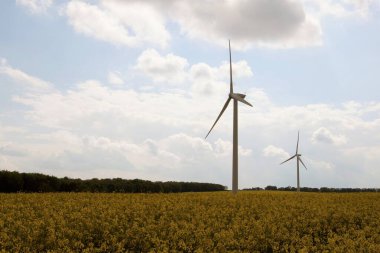 Marr, Doncaster, Güney Yorkshire, İngiltere 'de tecavüz tohumlu petrol santrallerinin ve rüzgar türbinlerinden elde edilen temiz elektriğin birleşik çevre dostu kaynaklarının ele geçirilmesi.