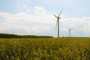 Marr, Doncaster, Güney Yorkshire, İngiltere 'de tecavüz tohumlu petrol santrallerinin ve rüzgar türbinlerinden elde edilen temiz elektriğin birleşik çevre dostu kaynaklarının ele geçirilmesi.