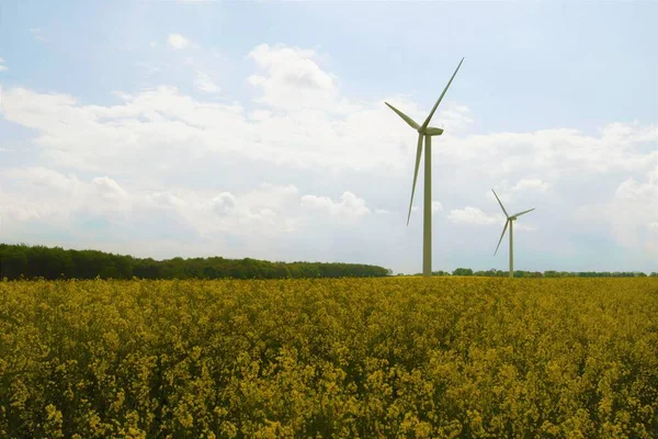 Marr, Doncaster, Güney Yorkshire, İngiltere 'de tecavüz tohumlu petrol santrallerinin ve rüzgar türbinlerinden elde edilen temiz elektriğin birleşik çevre dostu kaynaklarının ele geçirilmesi.