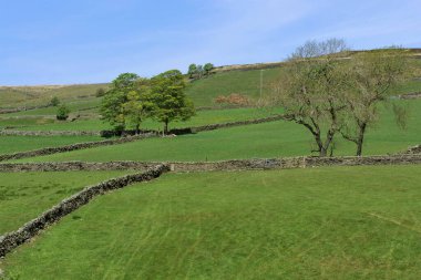 Dunsford Köprüsü yakınlarındaki Trans Pennine yolu sağlıklı egzersiz ve sosyal mesafeler için muhteşem manzaralar sunuyor.. 