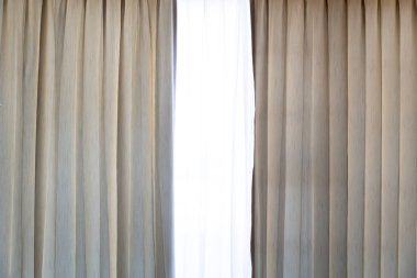 Odanın iç dekorasyonu. Beyaz perde. Güzel köpek.