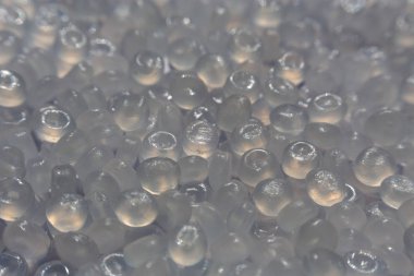 Plastik polimer granüllerin yakın çekim. el tutma Polimer peletler.