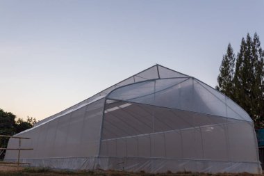 Sera 'nın yapısı. Çiftlikte tarım serası. Organik tarım Hidrofonik.