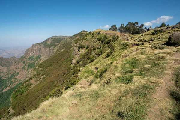 Babuinos Parque Nacional Las Montañas Simien Norte Etiopía — Foto de Stock