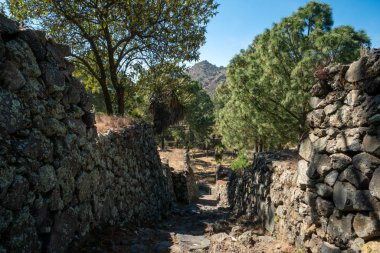 Cantona, Puebla, Meksika - çok az ziyaretçisi olan bir mezoamerikan arkeolojik sitesi