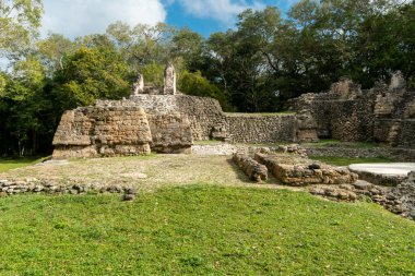 Guatemala 'daki Uaxactn arkeolojik alanı ve ormanda Maya piramitleri