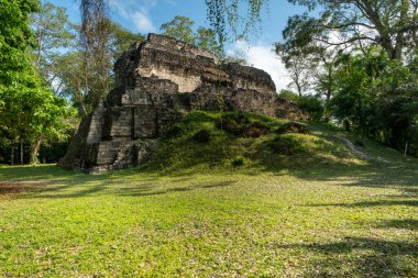 Guatemala 'daki Uaxactn arkeolojik alanı ve ormanda Maya piramitleri