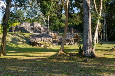 Guatemala 'daki Uaxactn arkeolojik alanı ve ormanda Maya piramitleri