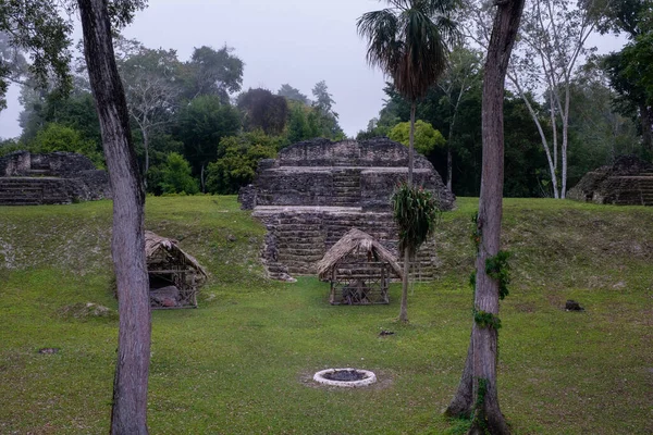 Sítio Arqueológico Uaxactn Guatemala Com Pirâmides Maias Selva — Fotografia de Stock