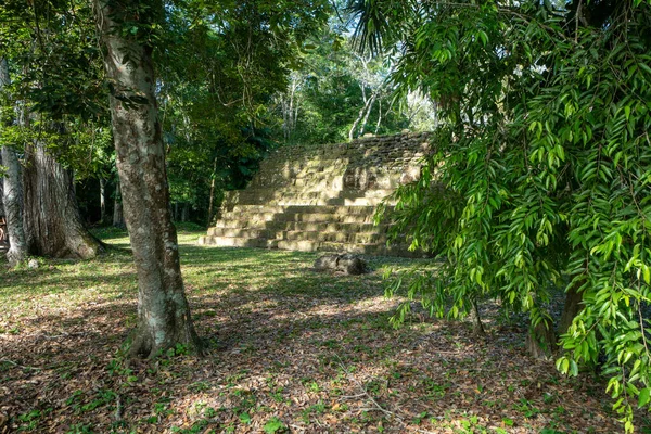 Guatemala Daki Uaxactn Arkeolojik Alanı Ormanda Maya Piramitleri — Stok fotoğraf