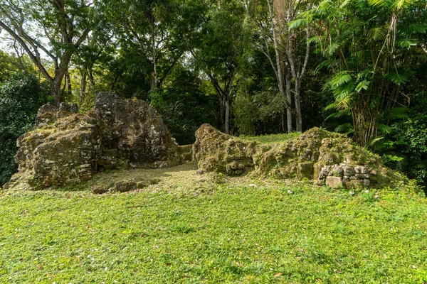 Situl Arheologic Lui Uaxactn Din Guatemala Piramide Mayașe Junglă — Fotografie, imagine de stoc