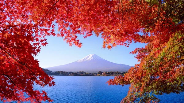 Sonbaharda Kawaguchiko Gölü 'nün ferahlatıcı sabahı 