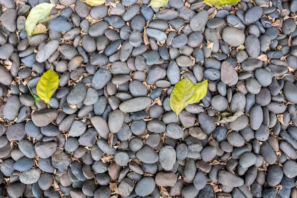 Yapraklı gerçekçi taş deseni