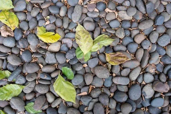 Motif de pierre réaliste avec feuille — Photo