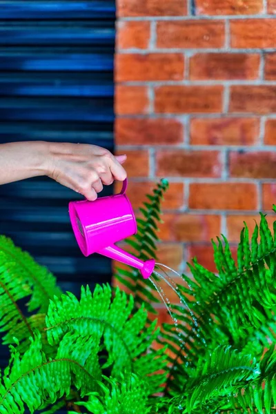 Bahçedeki sulama kutusu