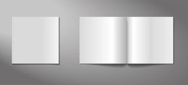 Couverture Magazine Maquette Propagation Page Pour Démontrer Mise Page Diverses — Image vectorielle