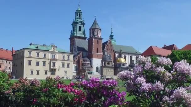 Cracovia, Polonia. Castillo de Wawel y Catedral en el soleado día de verano — Vídeos de Stock