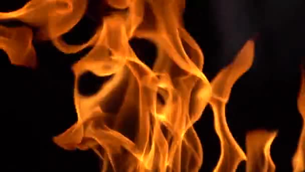 Fire and Burning Flames, Black Background. Close Up Slow Motion — Stock Video