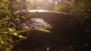 Dağ Akıntısı Sabah Güneşi Altında Ahşap Köprü Altında