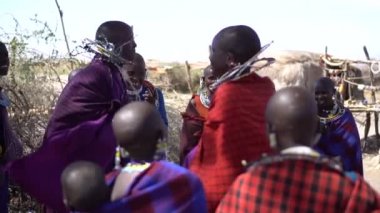 Traşlı Kafalı Masai Kabile Kadınları Sıçrayan Dans Ritüeli 120fps