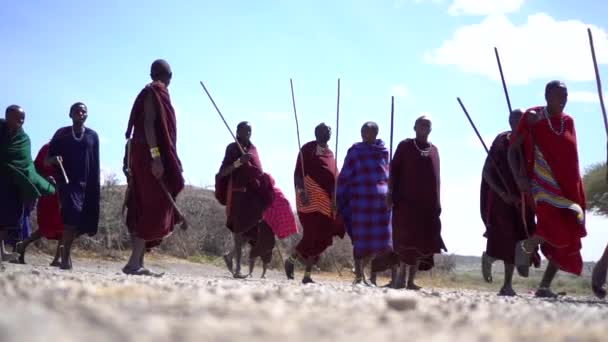 Afrika Masai Kabilesi Yürüyen ve Atlayan Erkekler, 120fps Yavaş Hareket — Stok video