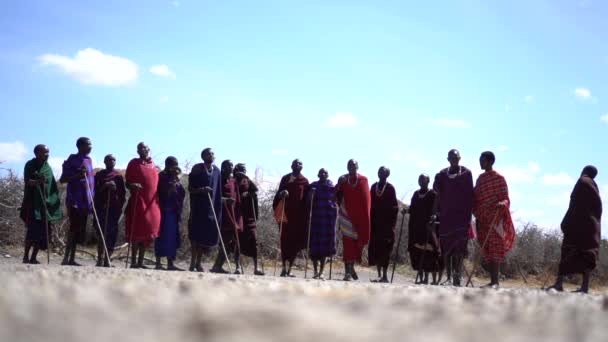 Maasai Tribe Manliga ledamöter. Kenyas och Tanzanias inhemska livsmiljö — Stockvideo