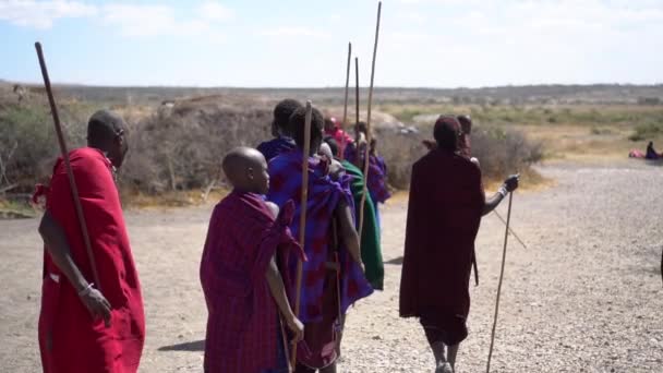 การเคลื่อนไหวช้าของกลุ่มคน Maasai เดินกับหอกบนถนนฝุ่น — วีดีโอสต็อก
