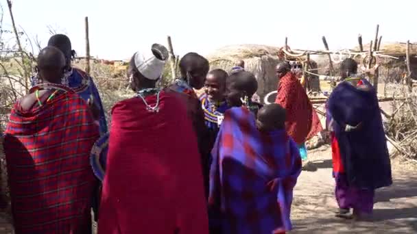 Vrouwtjes uit de primitieve Maasai stam in kleurrijke traditionele jurken — Stockvideo