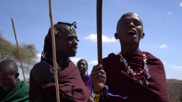 Närbild av Maasai stam män dansar med klubbor. Afrikansk etnisk grupp Ritual — Stockvideo