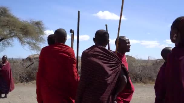 Мужчины племени Масаи с палками танцуют на деревенском поле. Африканская этическая группа — стоковое видео