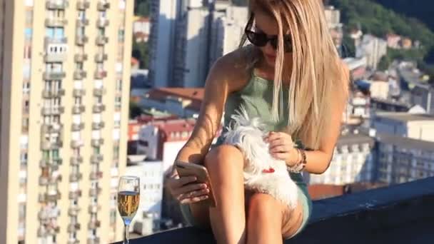 Fiatal Gyönyörű Szőke Nő Malteses Kutya Készít Selfie Okostelefon — Stock videók