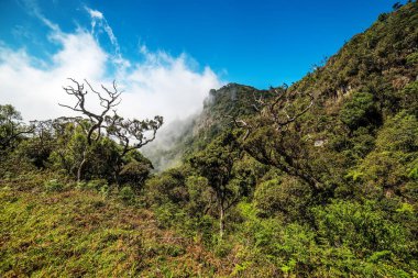 Sri Lanka: Horton Plains Milli Parkı, bulutlar oluşumu