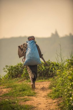 Sri Lanka: çay toplayıcı çanta