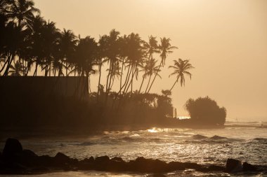 Sri Lanka: beach Güney Sahili, Hint Okyanusu içinde