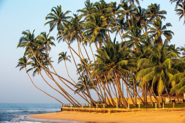 Sri Lanka: beach Güney Sahili, Hint Okyanusu içinde