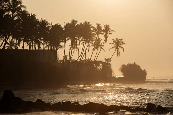 スリランカ: 南インド洋の海岸のビーチ — ストック写真