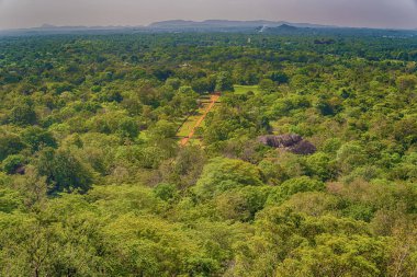 Orman Sigiriya, Sri Lanka: havadan görünümü