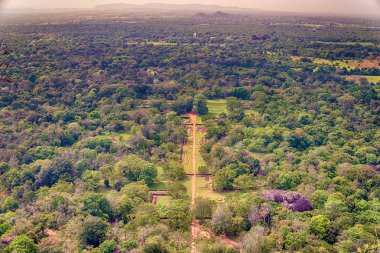 Orman Sigiriya, Sri Lanka: havadan görünümü