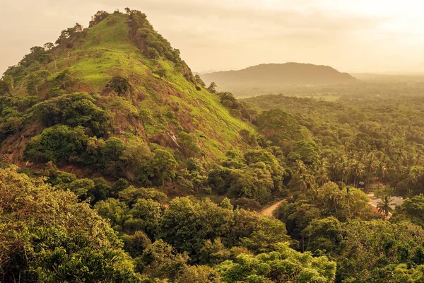 Sri Lanka: Park Narodowy Dambulla — Zdjęcie stockowe