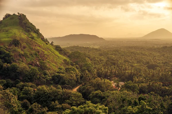 Sri Lanka: Park Narodowy Dambulla — Zdjęcie stockowe