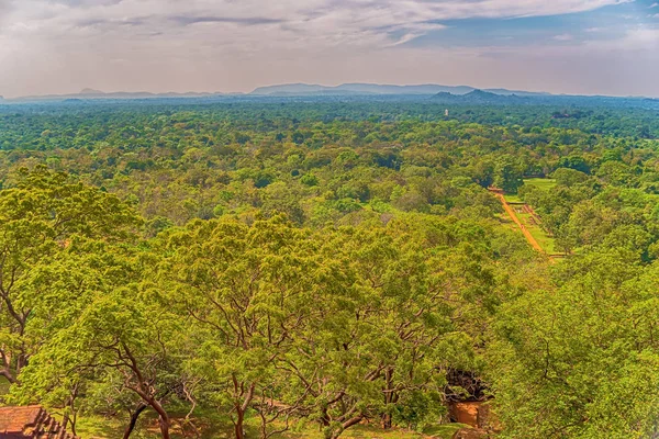 Готель Sigiriya, Шрі-Ланка: пташиного польоту джунглі — стокове фото