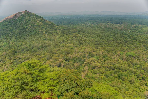 Sigiriya, Σρι Λάνκα: Αεροφωτογραφία της ζούγκλας — Φωτογραφία Αρχείου