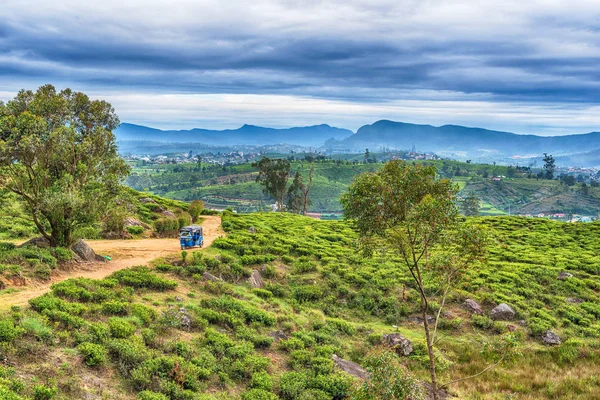 Sri Lanka: plantaciones de té de las tierras altas en Nuwara Eliya — Foto de Stock