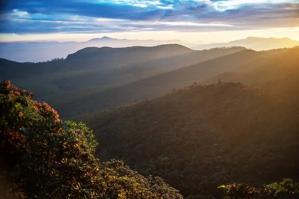 Sri Lanka: highland Horton Plains National Park — Zdjęcie stockowe