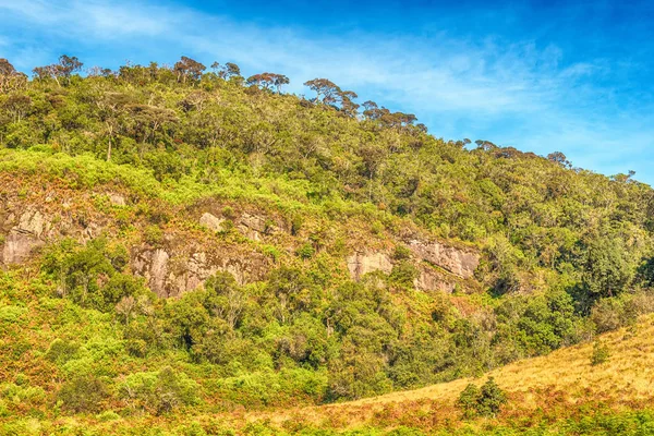 Sri Lanka: Parque Nacional de las Tierras Altas Horton Plains —  Fotos de Stock